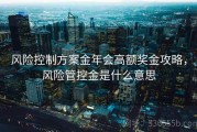 风险控制方案金年会高额奖金攻略，风险管控金是什么意思