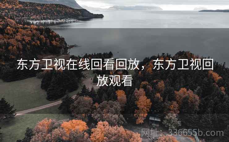 东方卫视在线回看回放，东方卫视回放观看
