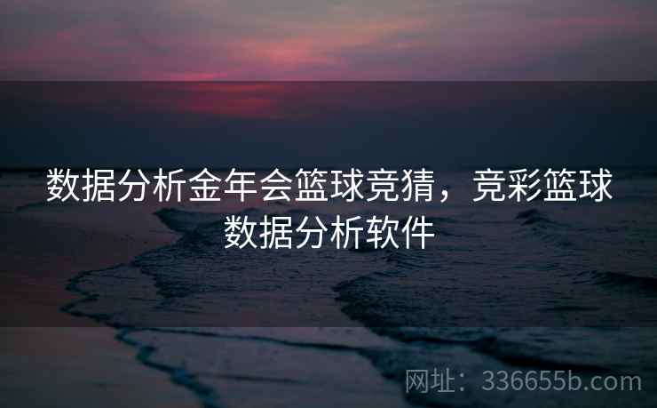 数据分析金年会篮球竞猜，竞彩篮球数据分析软件