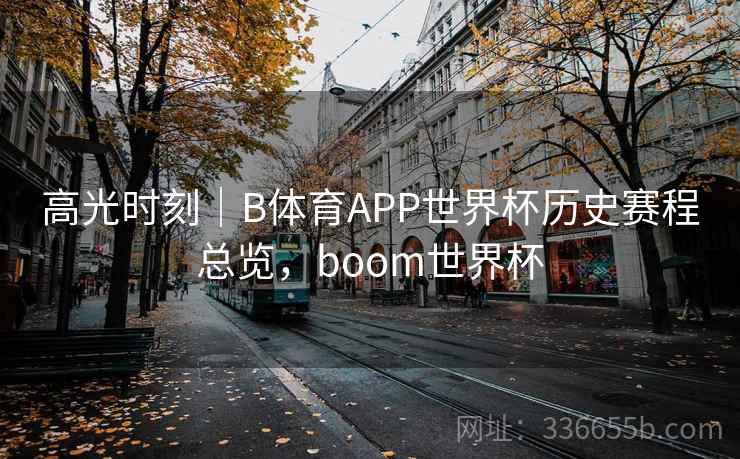 高光时刻｜B体育APP世界杯历史赛程总览，boom世界杯