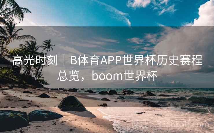 高光时刻｜B体育APP世界杯历史赛程总览，boom世界杯