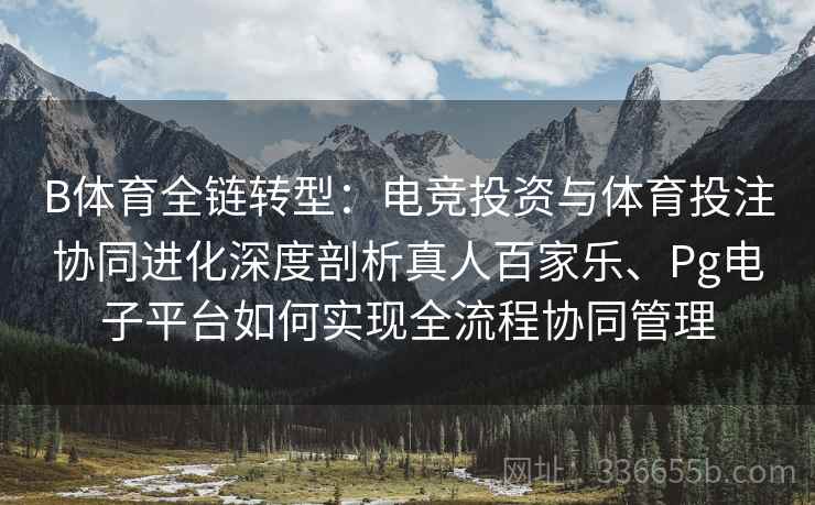 B体育全链转型：电竞投资与体育投注协同进化深度剖析真人百家乐、Pg电子平台如何实现全流程协同管理